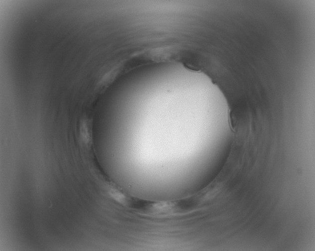 X0000054430335200508121825