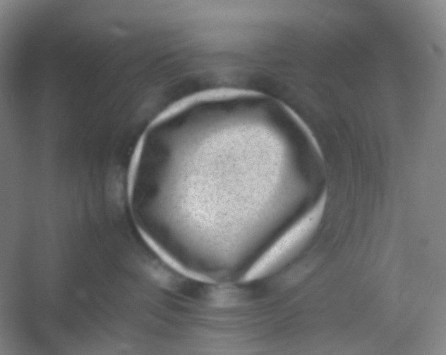 X0000054430336200508121825