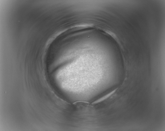 X0000054430337200508121824