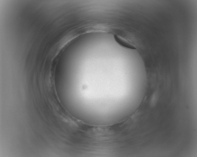 X0000054430338200508121824