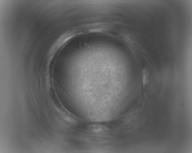 X0000054430339200508121824