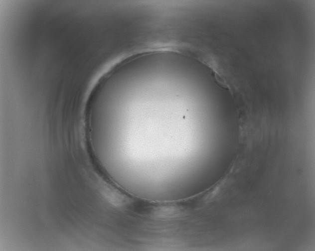 X0000054430342200508121824