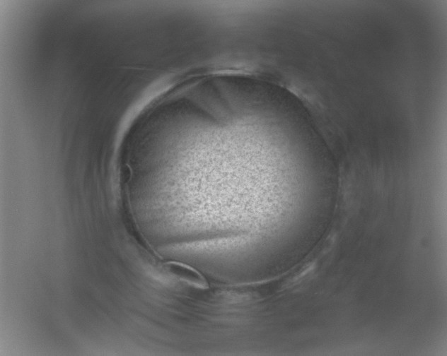 X0000054430343200508121824