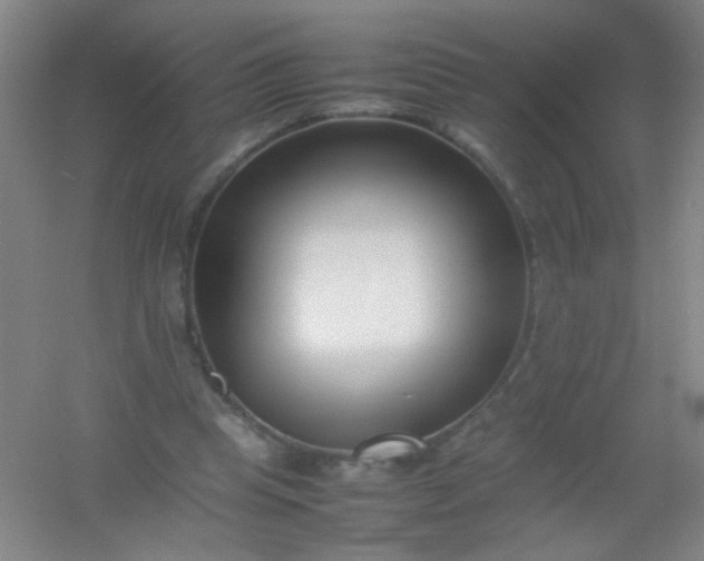 X0000054430345200508121824