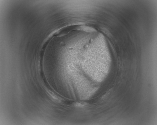 X0000054430346200508121824