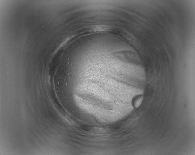 X0000054430347200508121824