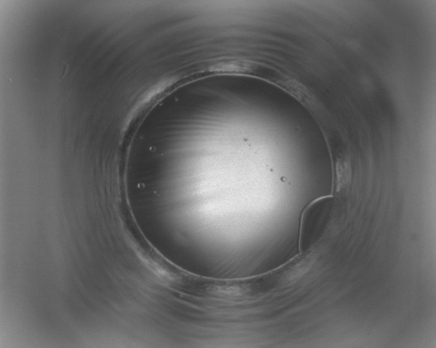 X0000054430349200508121824