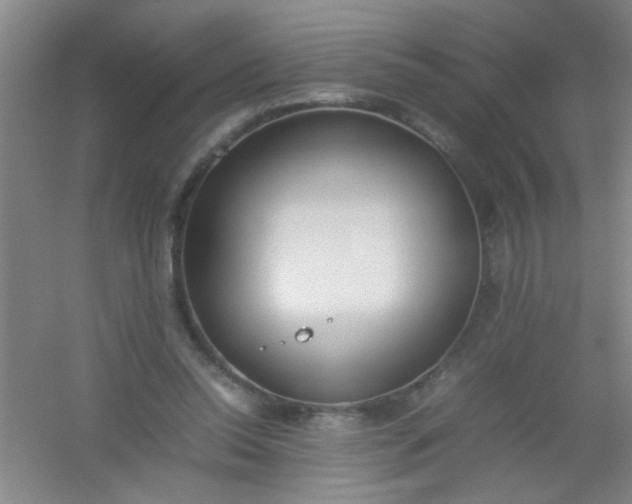 X0000054430350200508121824