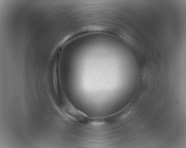 X0000054430352200508121824