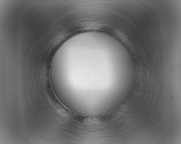 X0000054430354200508121824