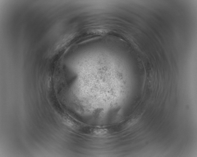 X0000054430355200508121824