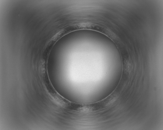 X0000054430356200508121824