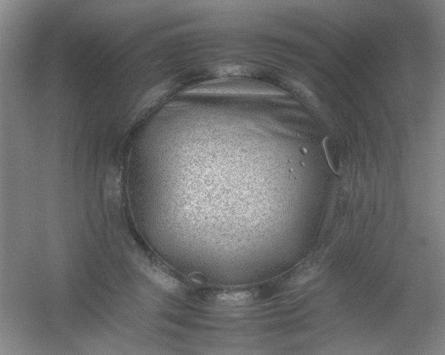 X0000054430357200508121824