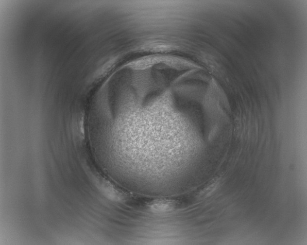 X0000054430358200508121824