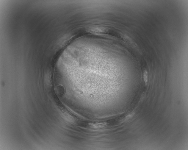 X0000054430359200508121824