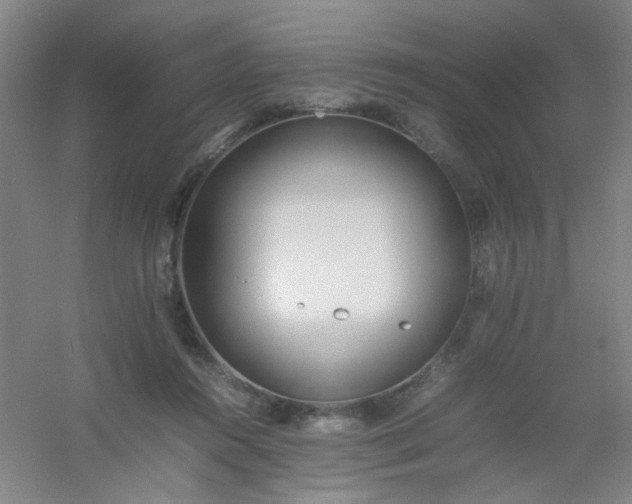 X0000054430360200508121824