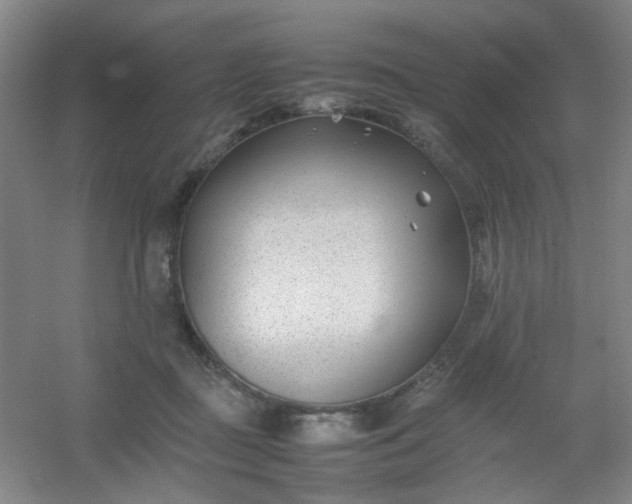 X0000054430363200508121824