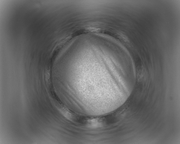 X0000054430365200508121824