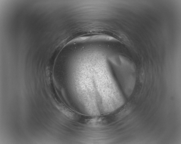 X0000054430366200508121824