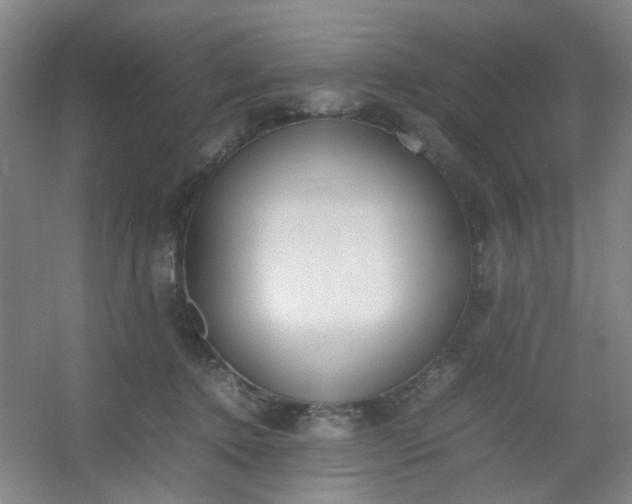 X0000054430368200508121824