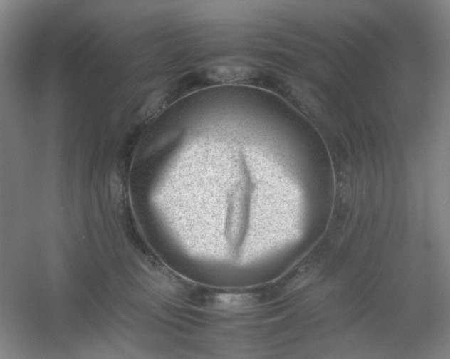 X0000054430371200508121825