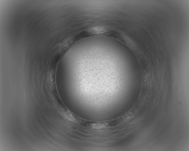 X0000054430373200508121825