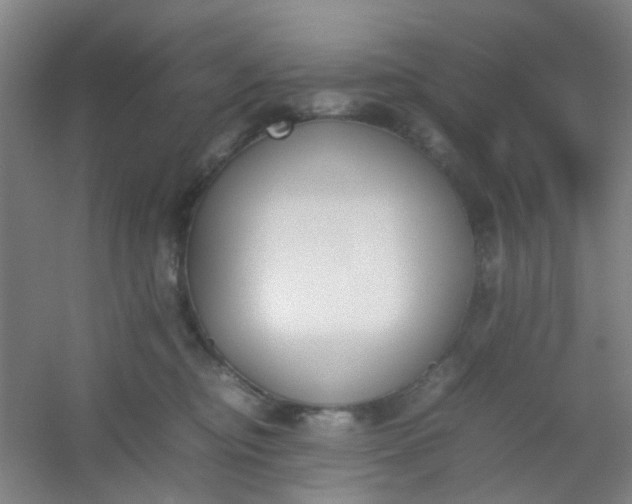 X0000054430374200508121825