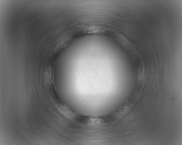 X0000054430376200508121825