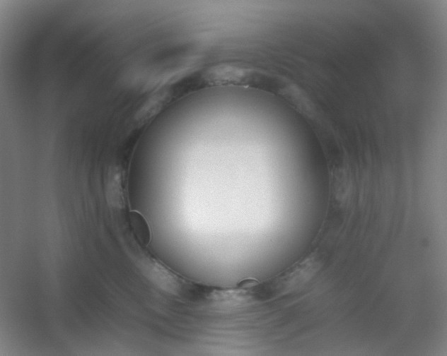 X0000054430378200508121825