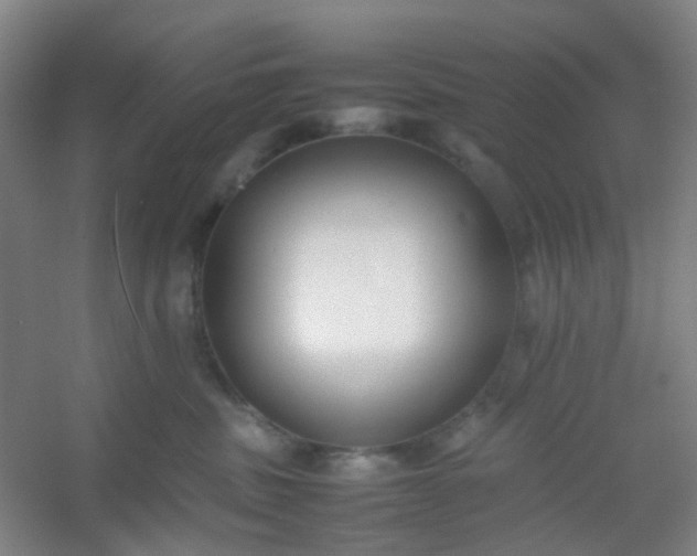 X0000054430379200508121825