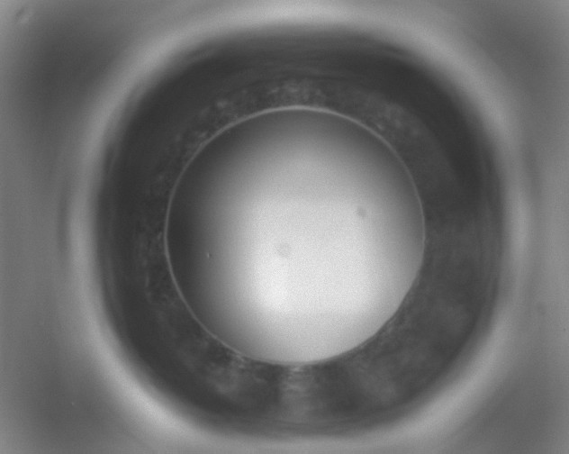 X0000054430382200508121825