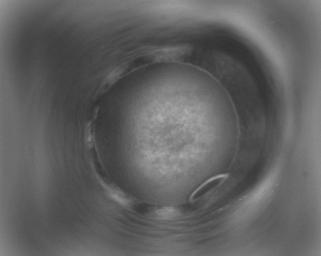 X0000054430383200508121825