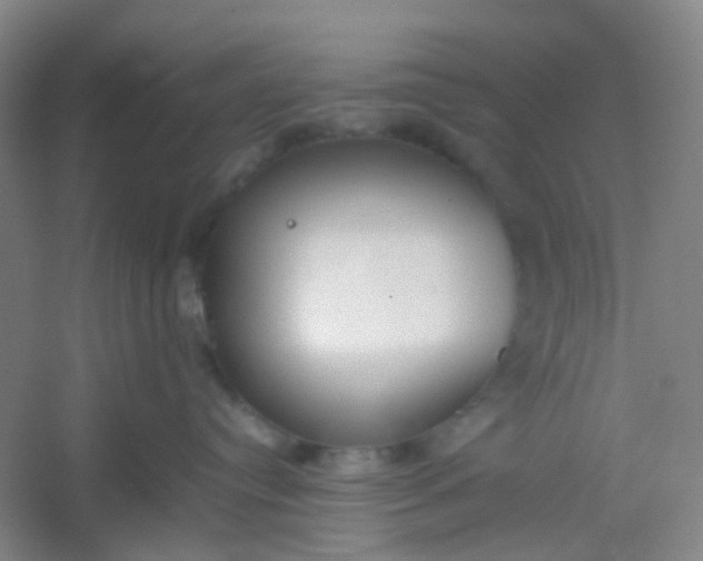 X0000054430384200508121825