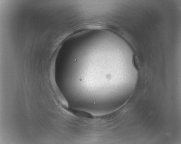 X0000054430385200508121824