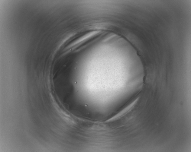 X0000054430386200508121824