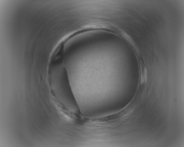 X0000054430387200508121824