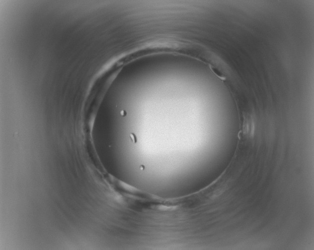 X0000054430388200508121824