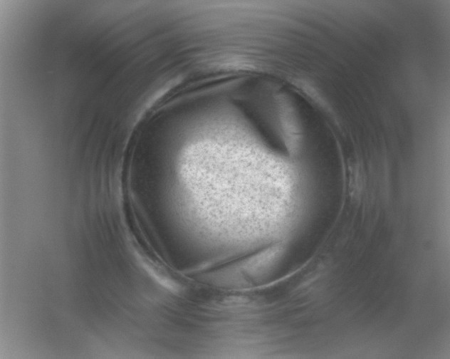 X0000054430390200508121824