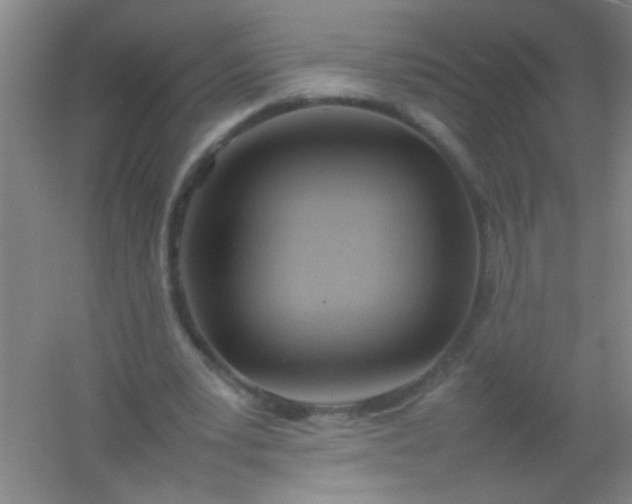 X0000054430391200508121824