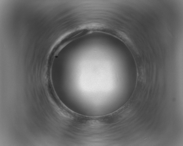 X0000054430392200508121824