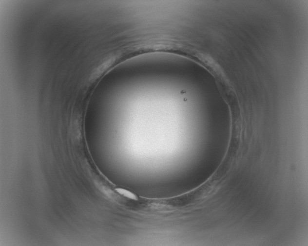 X0000054430393200508121824