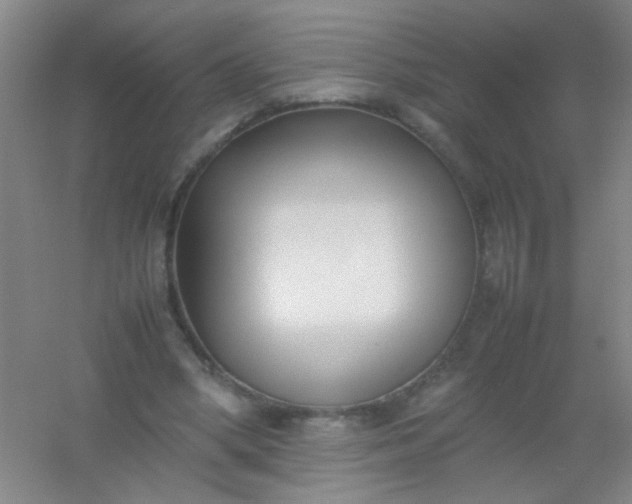 X0000054430394200508121824