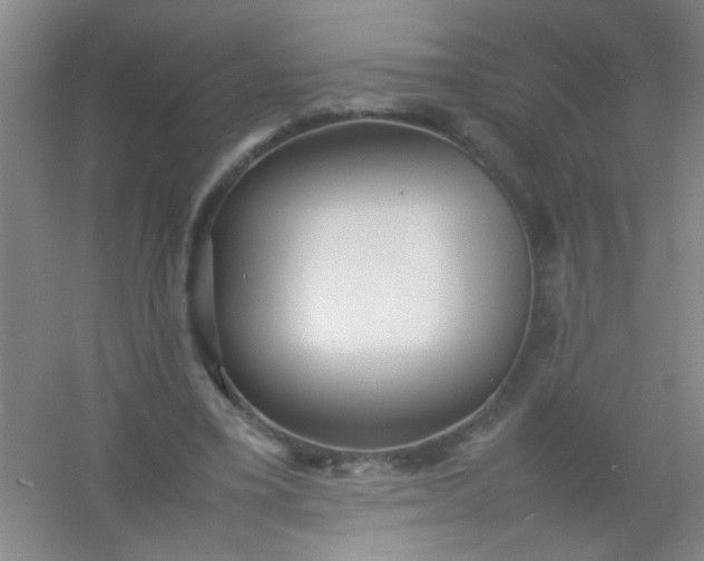 X0000054430395200508121824