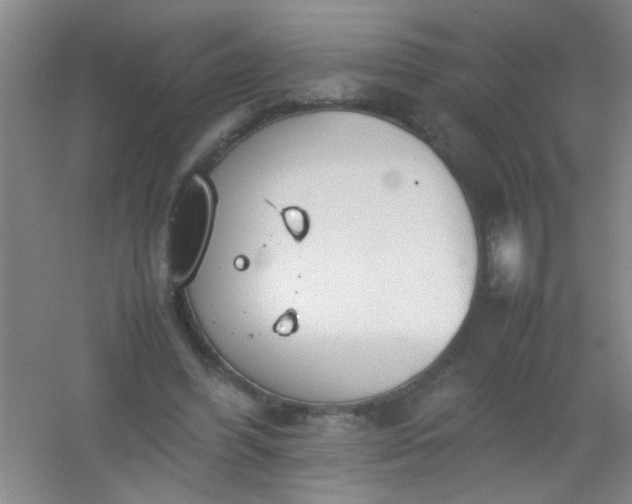 X0000054430396200508121824