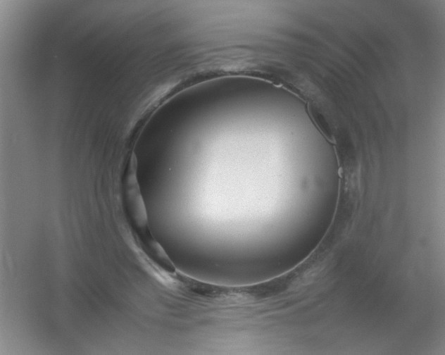 X0000054430397200508121824