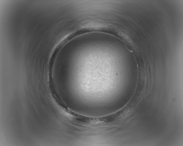 X0000054430399200508121824