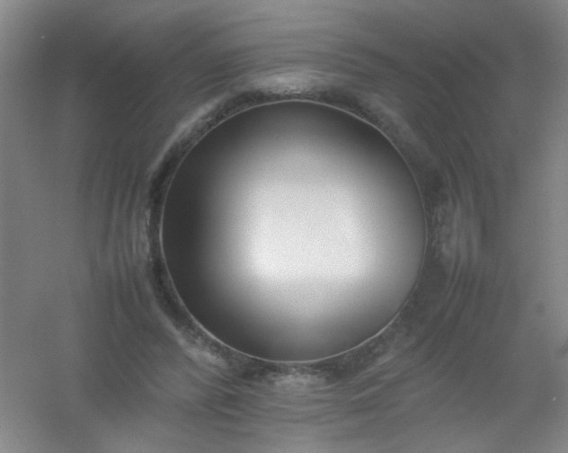 X0000054430400200508121824