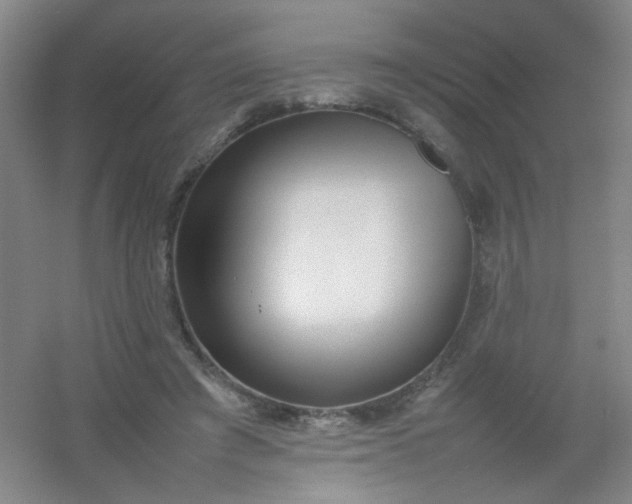 X0000054430401200508121824