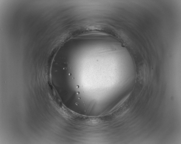 X0000054430402200508121824