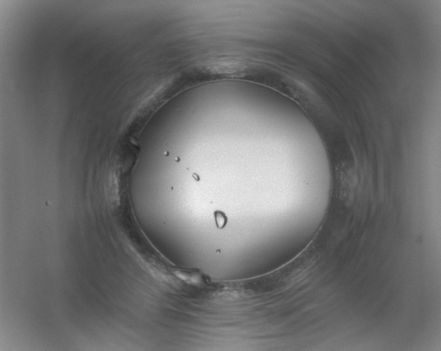 X0000054430404200508121824